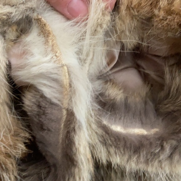 Coyote fur hooded coat. Fingertip length. - Picture 8 of 10